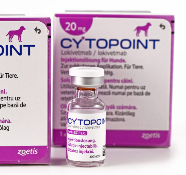 Packages of animal medicine called “Cytopoint” containing monoclonal antibody lokivetmab for treating dogs with allergies and itching skin